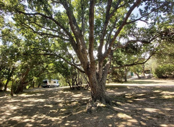 Camping a Casaiola — Foto 6