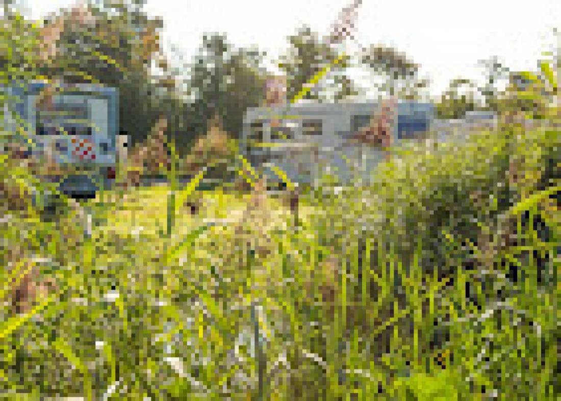 Stellplatz Vakantiepark de Krim — Campingplass in De Cocksdorp