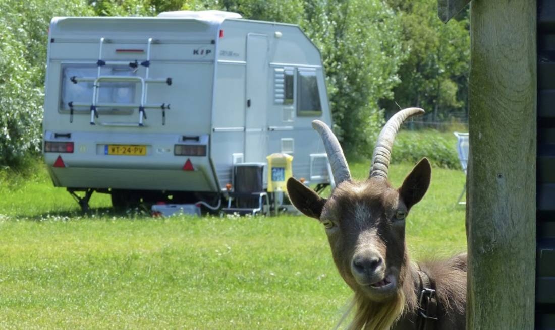 Camping De Gouw — Campingplass in Hoogwoud