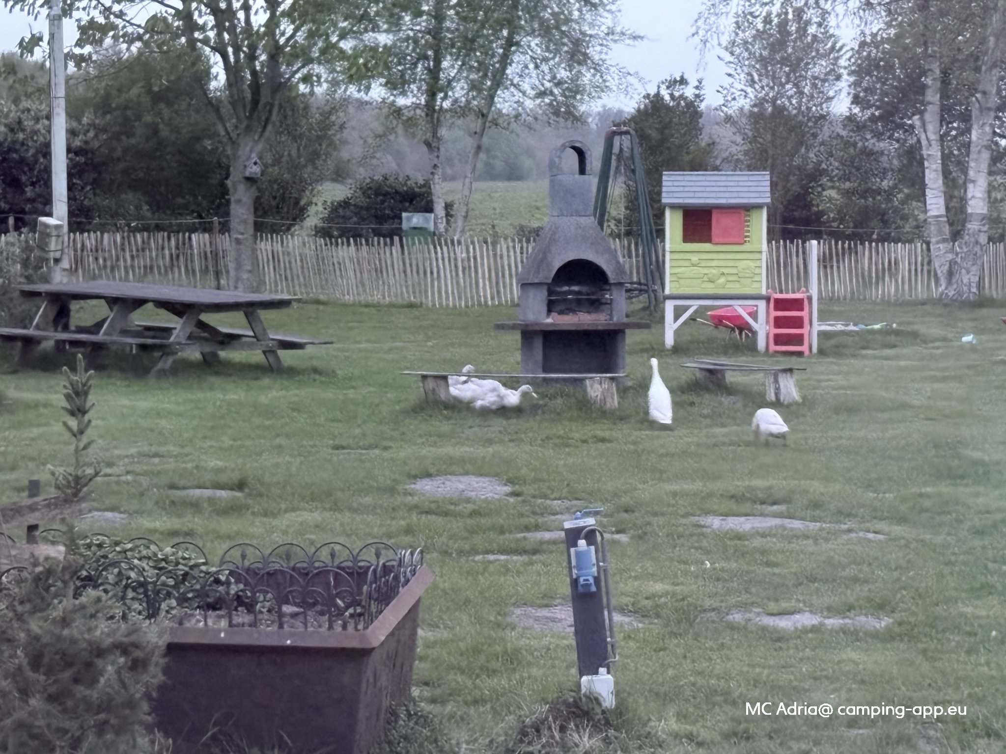 Camping Luna — Foto 4