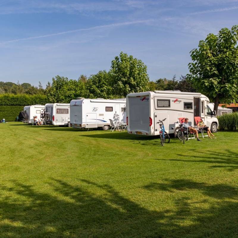 Minicamping De Schijvenaer — Campingplatz in Schijf