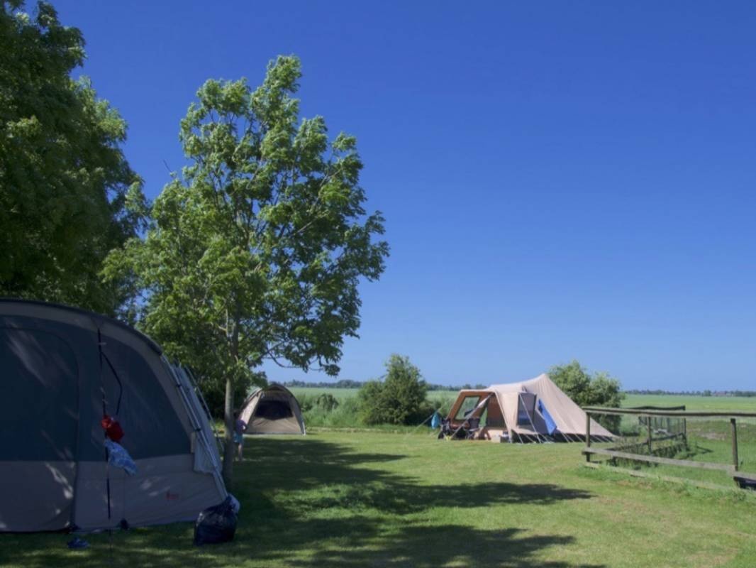 Hayema Heerd — Kemping in Oldehove