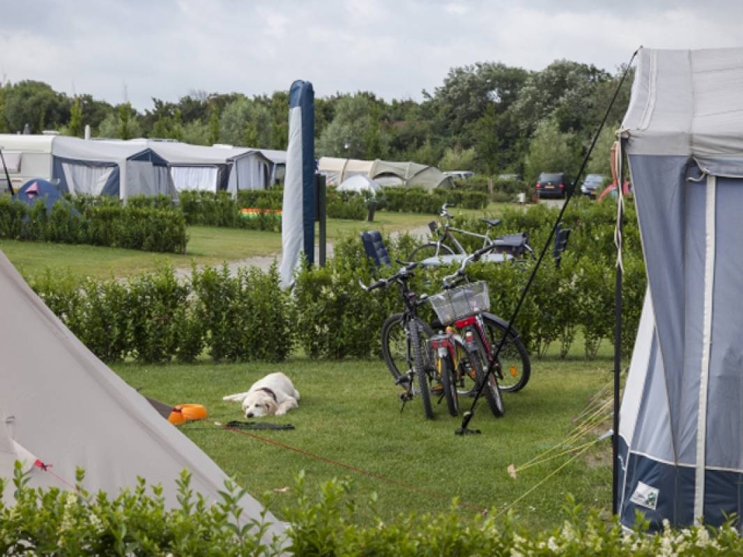 Camping het Hoge Licht — Campingplatz in Westkapelle