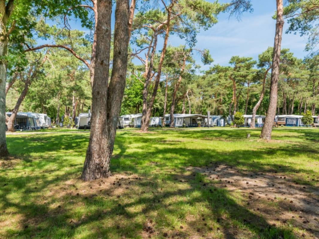 Bos Park Bilthoven — Campingplatz in Bilthoven