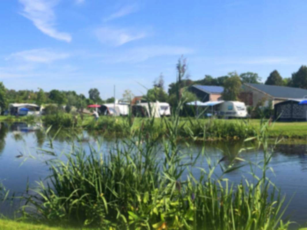 Aan de Groene Papegaai — Kemp in Hoogerheide