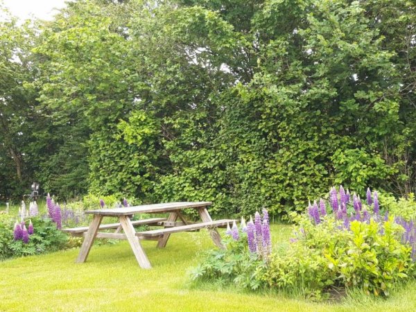 Mini Camping De Kraanvensche Berg — Photo 2