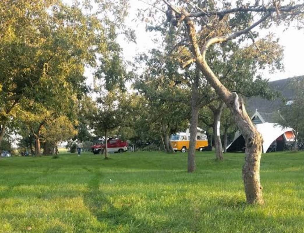 De Boerderij Natuurcamping — Campingplatz in Snelrewaard