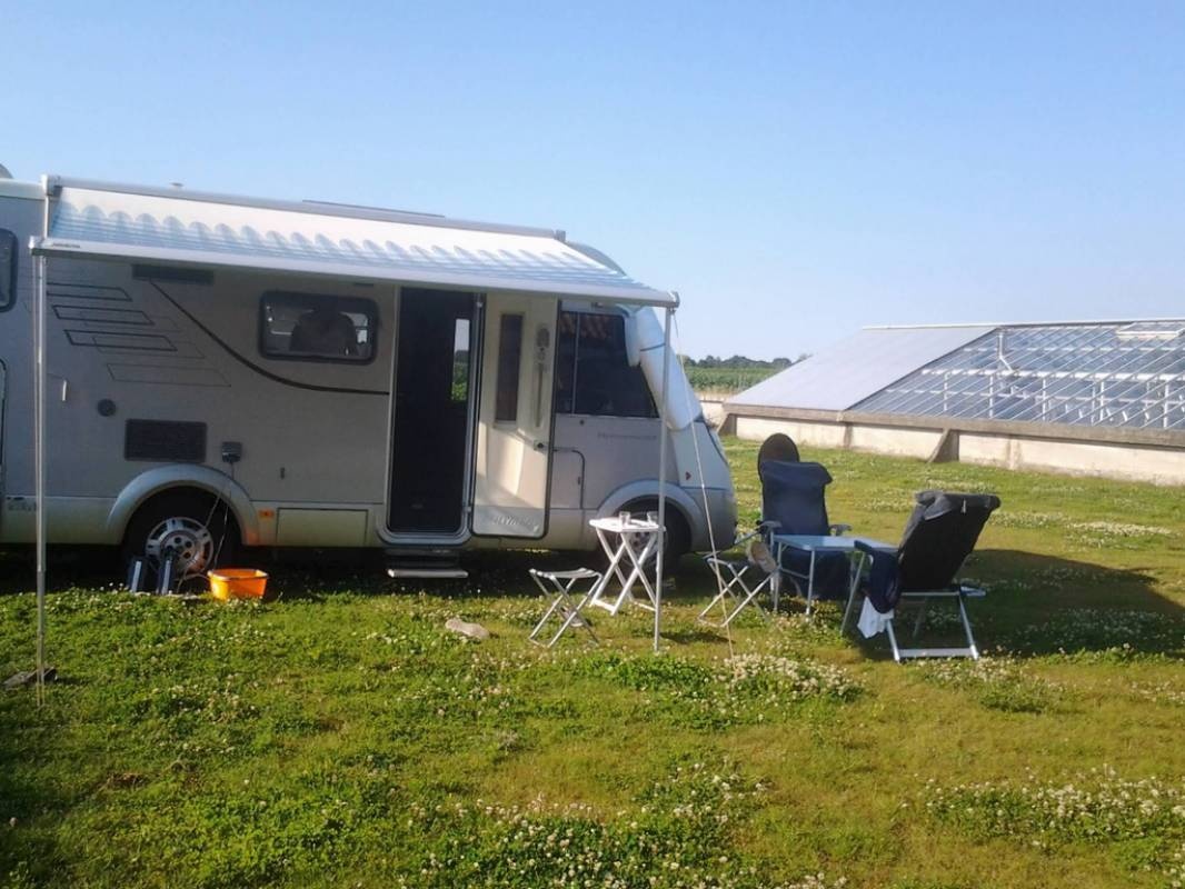 Saalhof — Stellplatz in Wognum