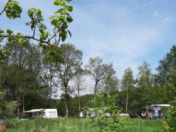 De Bulte Mini Camping — Photo 2