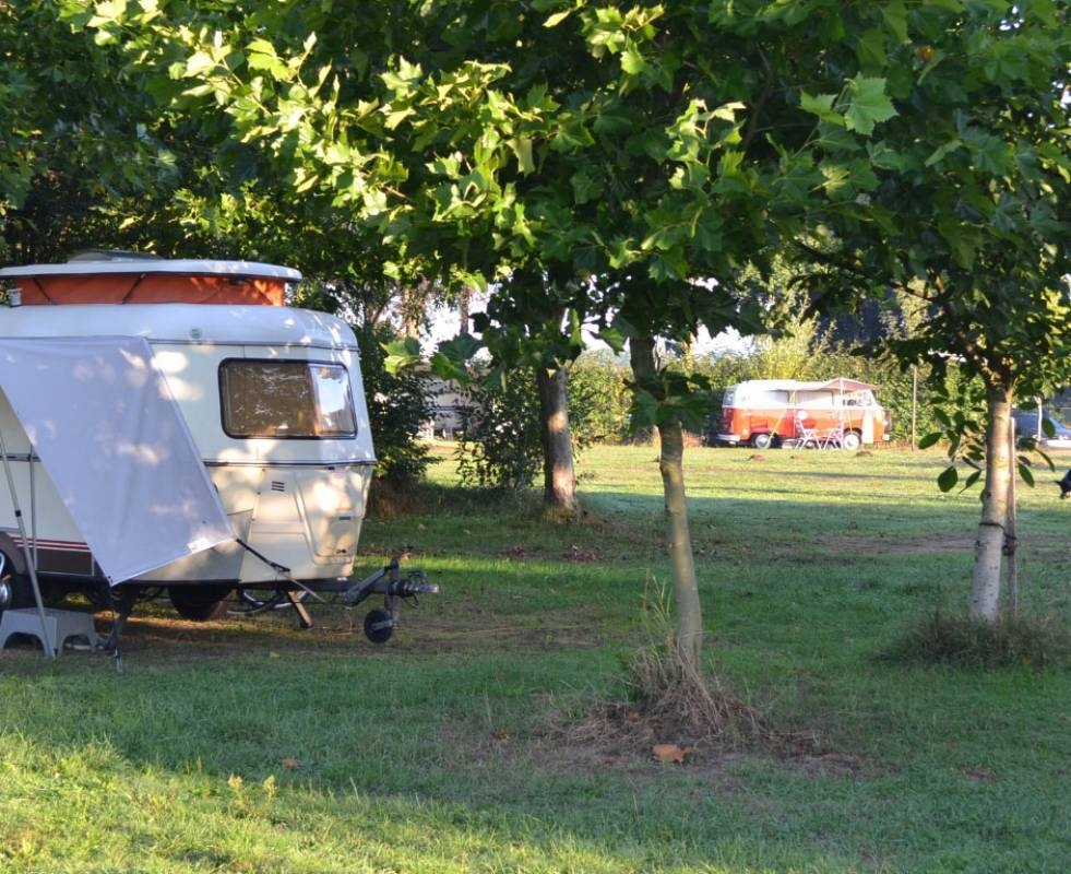 Natuurkampeerterrein Het Smokkelpad — Kemping in Groesbeek