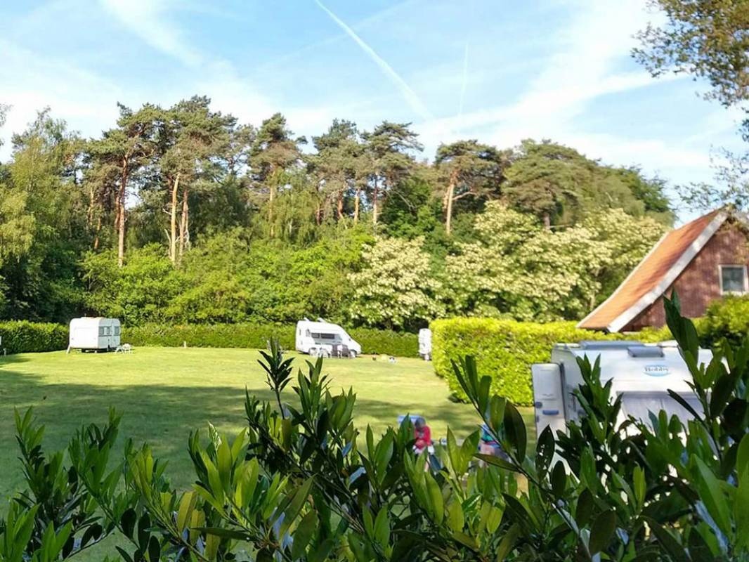 Erve Henderikshoeve — Camping in Bornerbroek