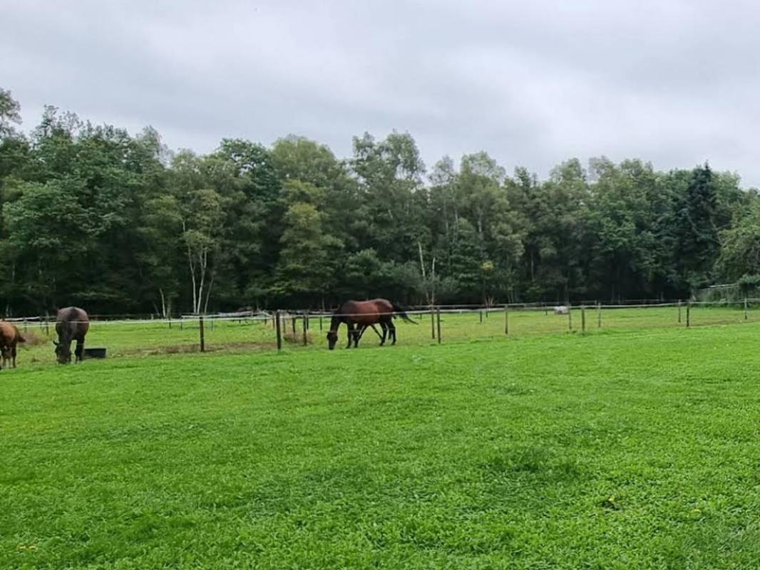 De Derkjeshoeve — Camping in Nijverdal
