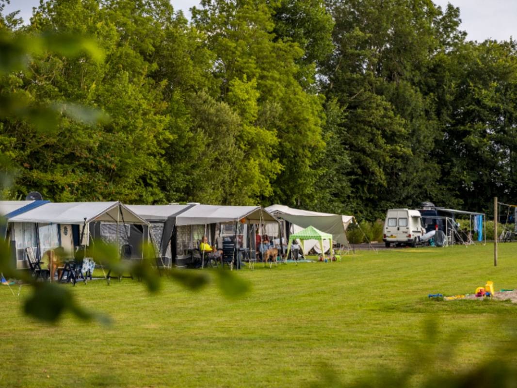 De Wetterspetter — Місце для кемпінгу in Indijk