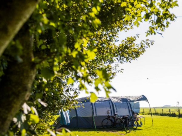 De Wetterspetter — Photo 2