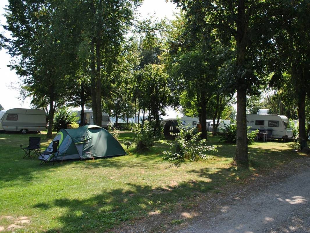 Boerderijcamping de Limburgerhof — Kamp yeri in Landgraaf