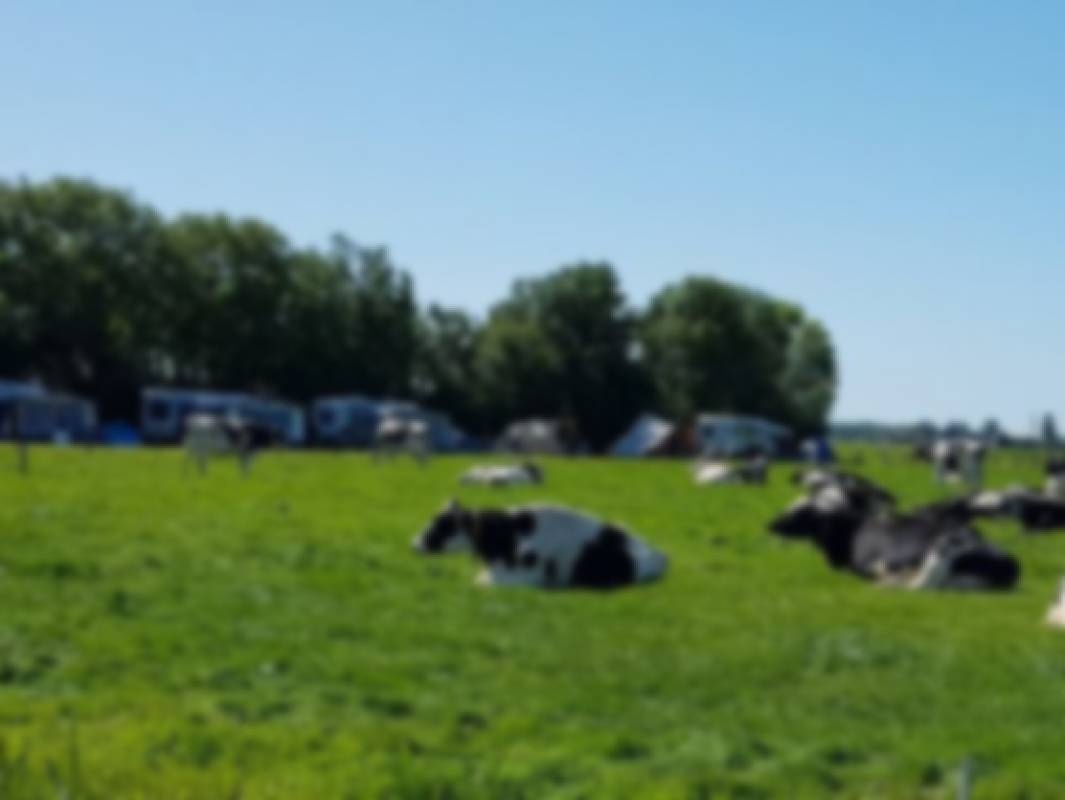 Boerencamping De Kei — Campingplatz in Castricum