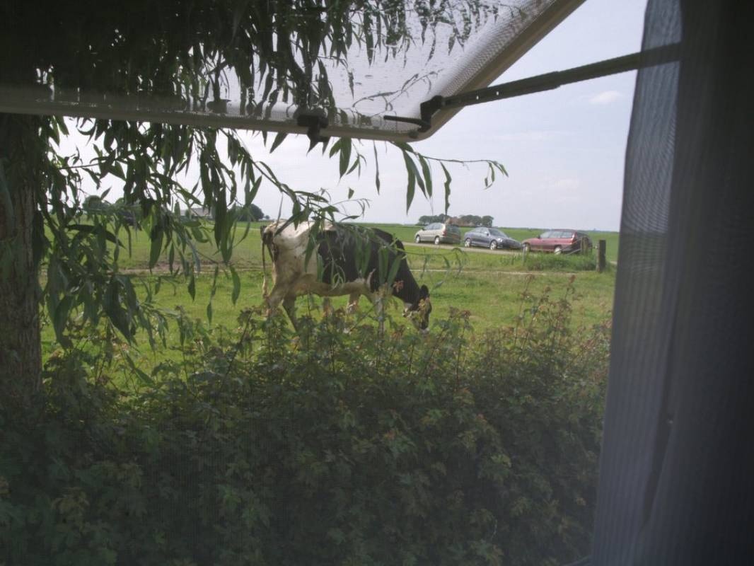 Minicamping de Paardeboer — Kemping in Kampen