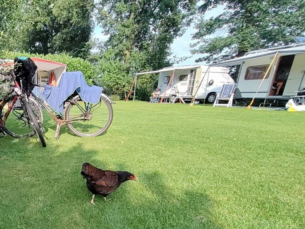 Camping De Eikenzoom — Kemp in Anerveen