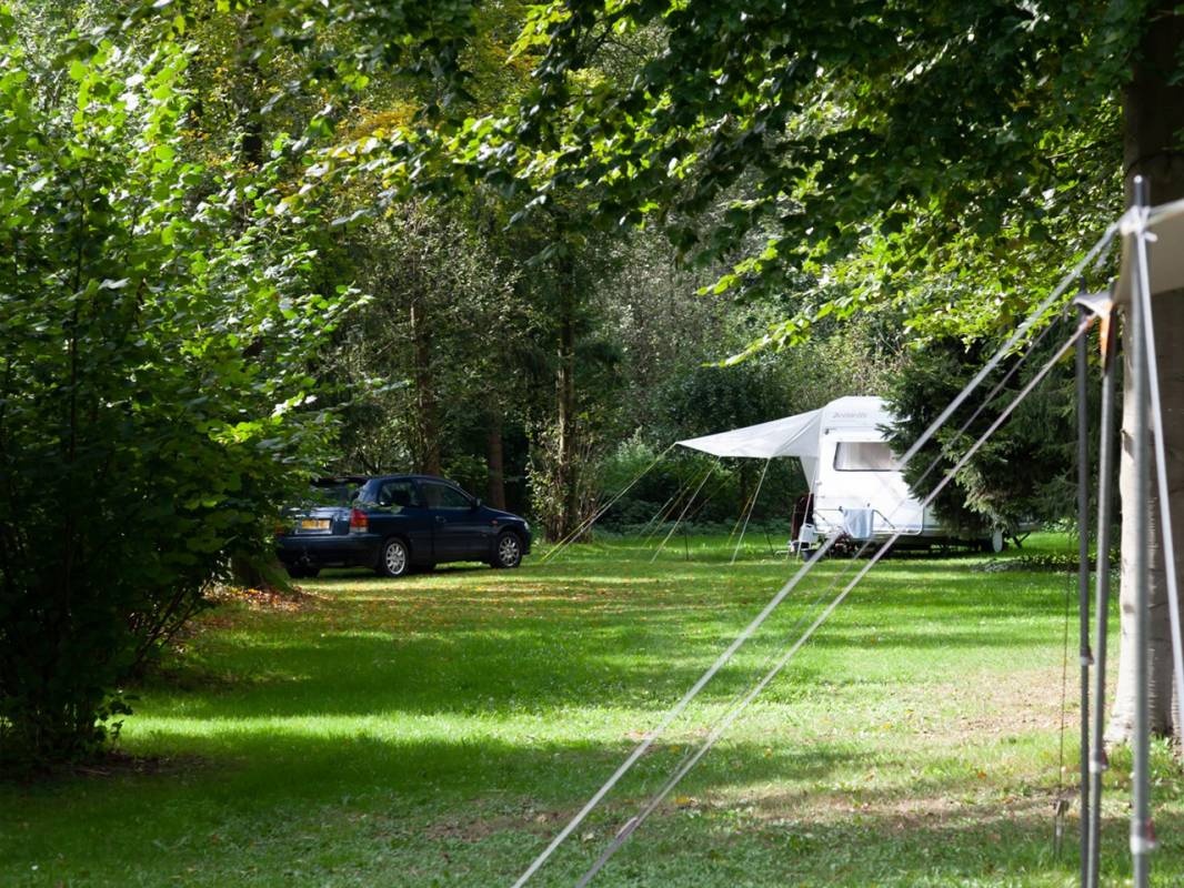 NCC Camping Abbertbos — Kemping in Dronten