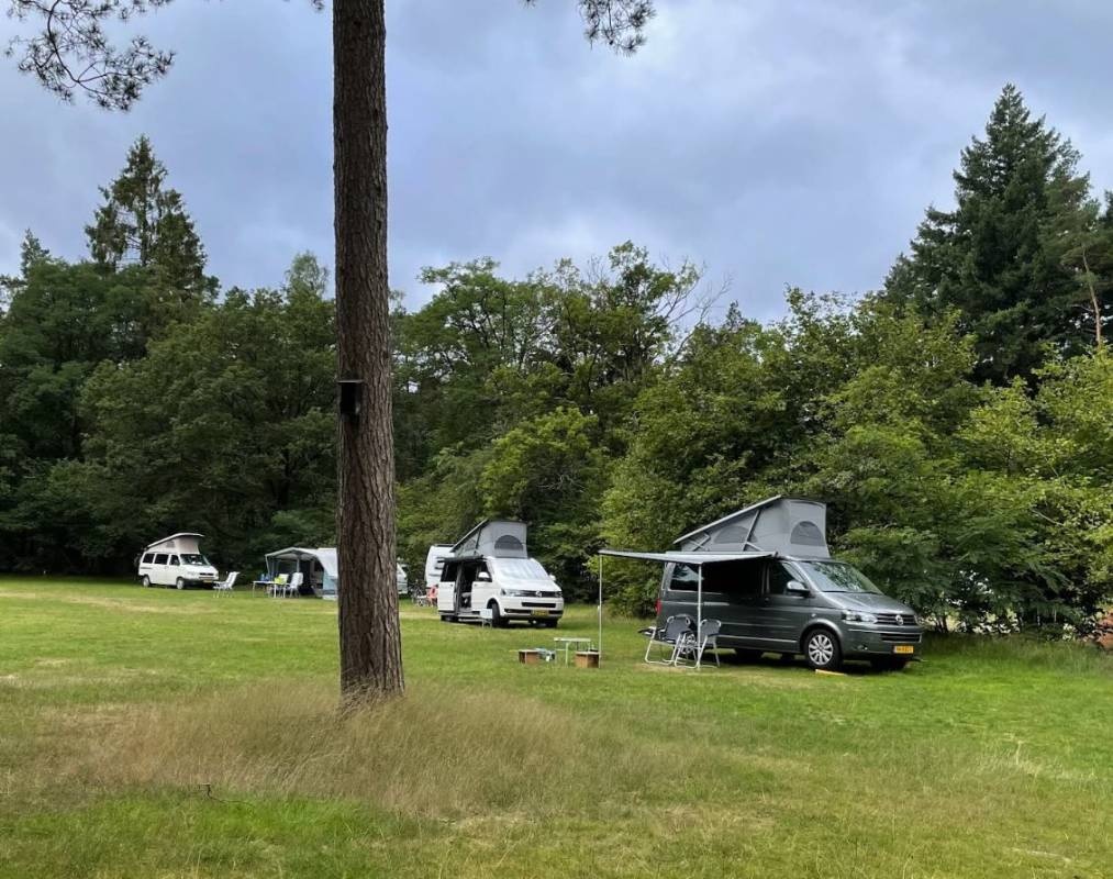 Natuurkampeerterrein Zegenoord — Camping in Loenen