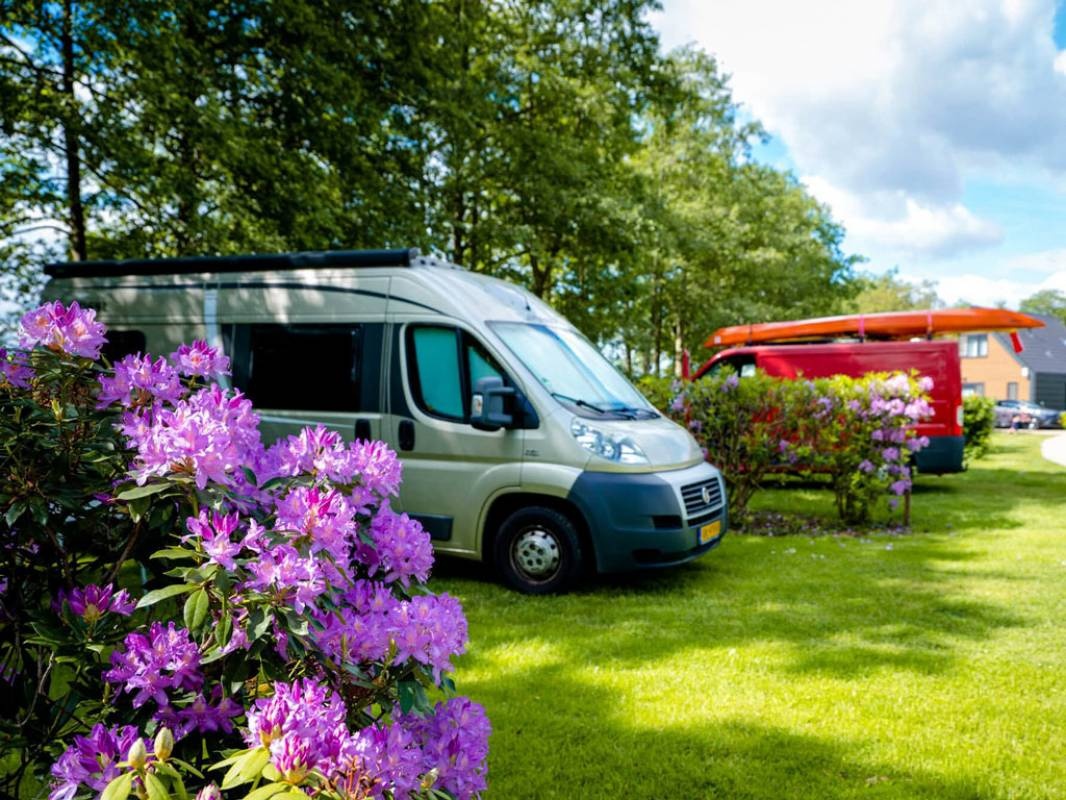 Domein Groot Besselink — Camping in Almen