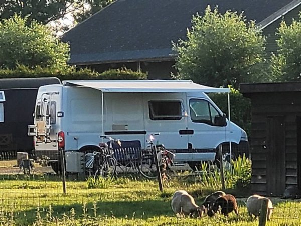 Campingplatz Het Waterhoentje — Photo 4