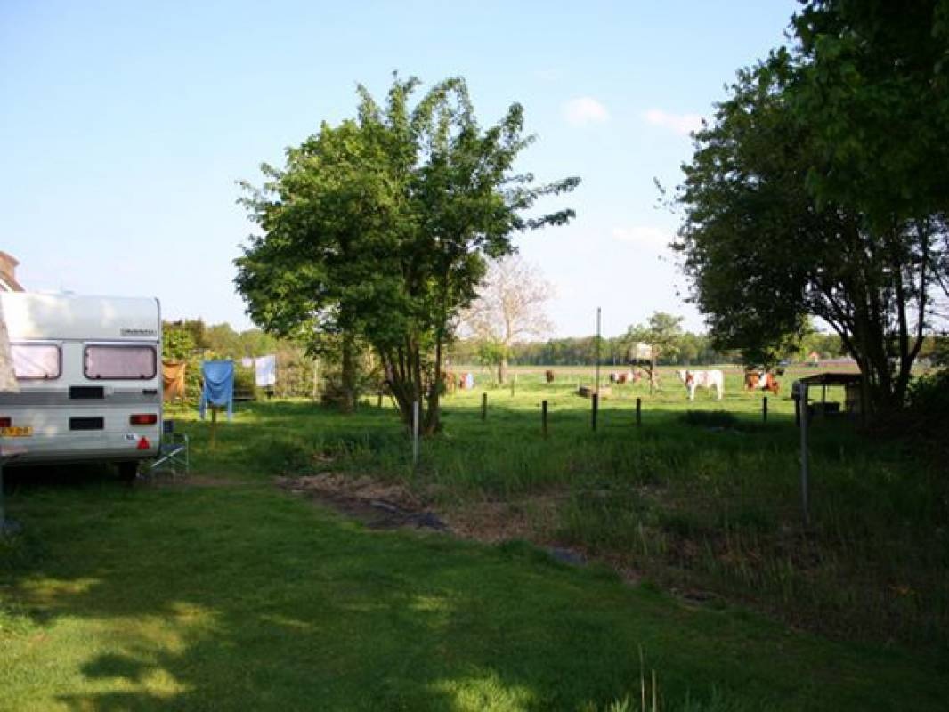 Camping De Coolewee — Kemp in Bathmen