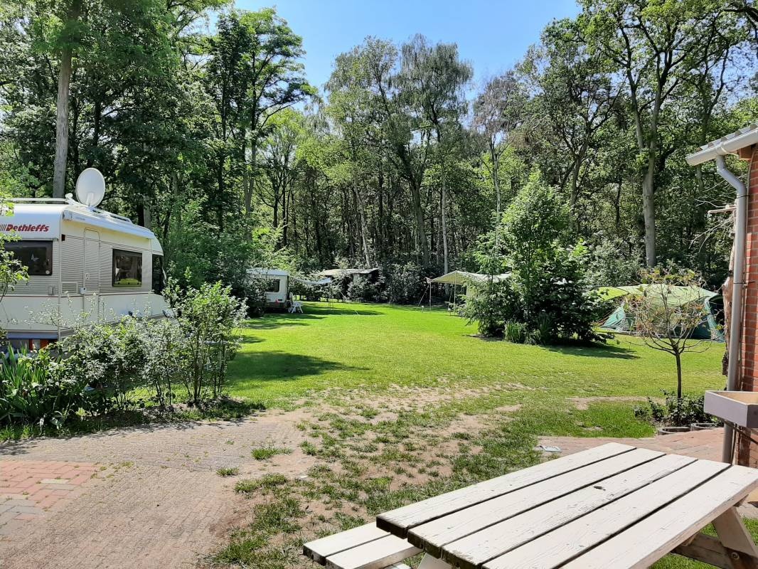 Minicamping De Hippe Kip — Kemping in Beltrum