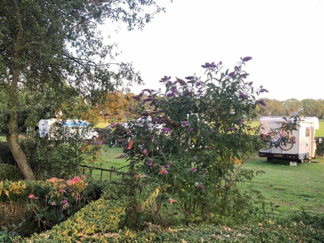 Camping Brugginck — Kemping in Zelhem