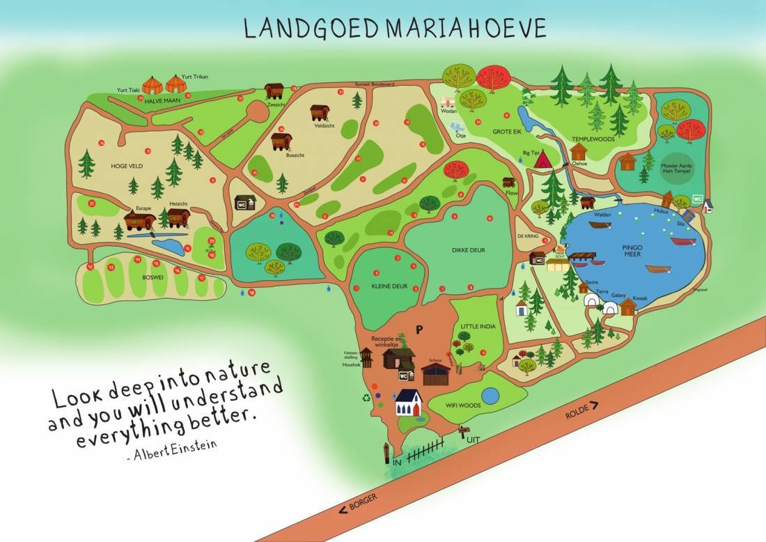 Landgoed Mariahoeve — Campingplats in Papenvoort