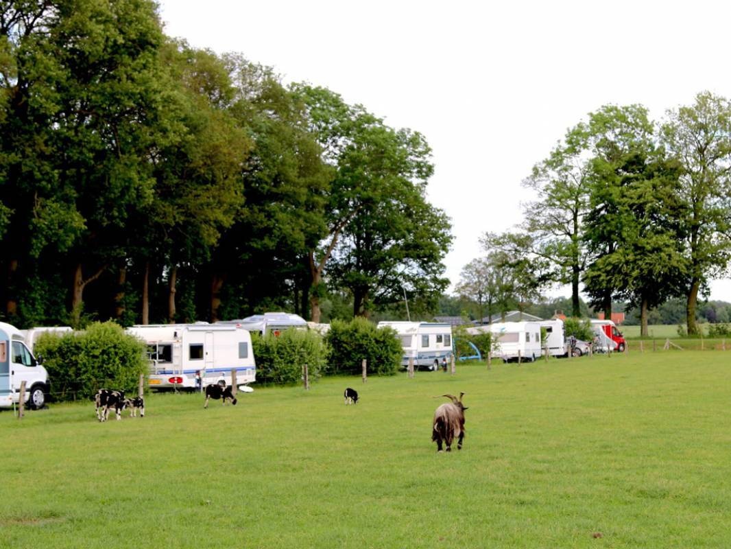 Boerencamping Erve-Bekhuis — Camping in Tilligte