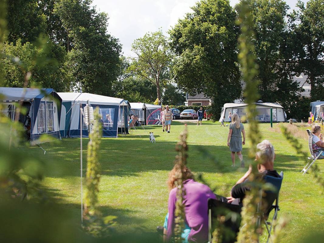 Recreatiebedrijf d' elf ieken — Camping Site in Elsloo