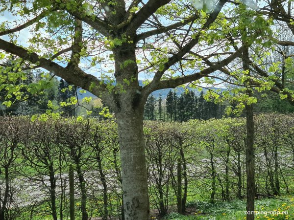 Stellplatz Ferrette — Photo 3