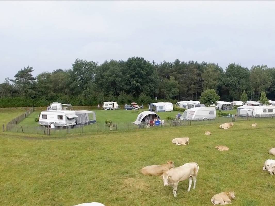 Camping Het Ven — Campingplatz in Bergeijk