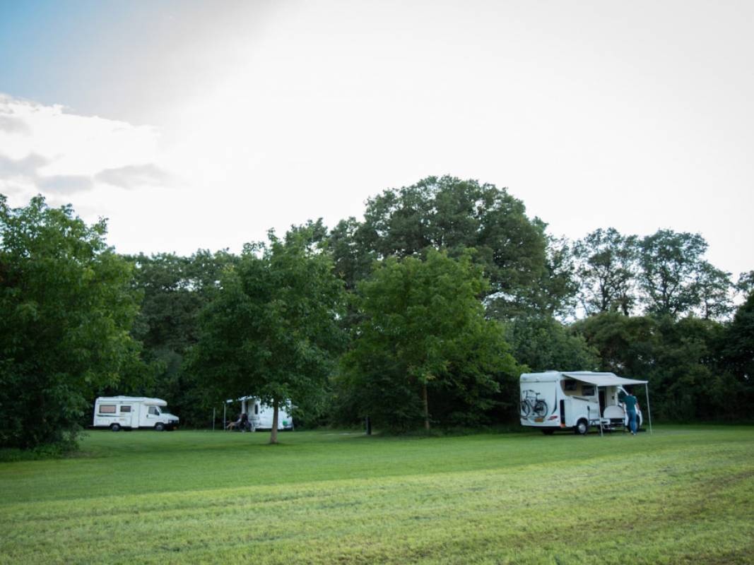 Camping de Dam — Camping in Tilligte