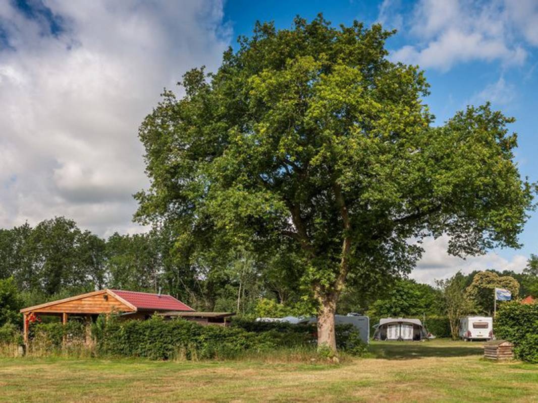 Camping Huis in 't Veld — Camping in Paasloo