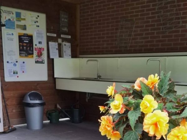 Camping & Kampeerboerderij Meerveld — Photo 3