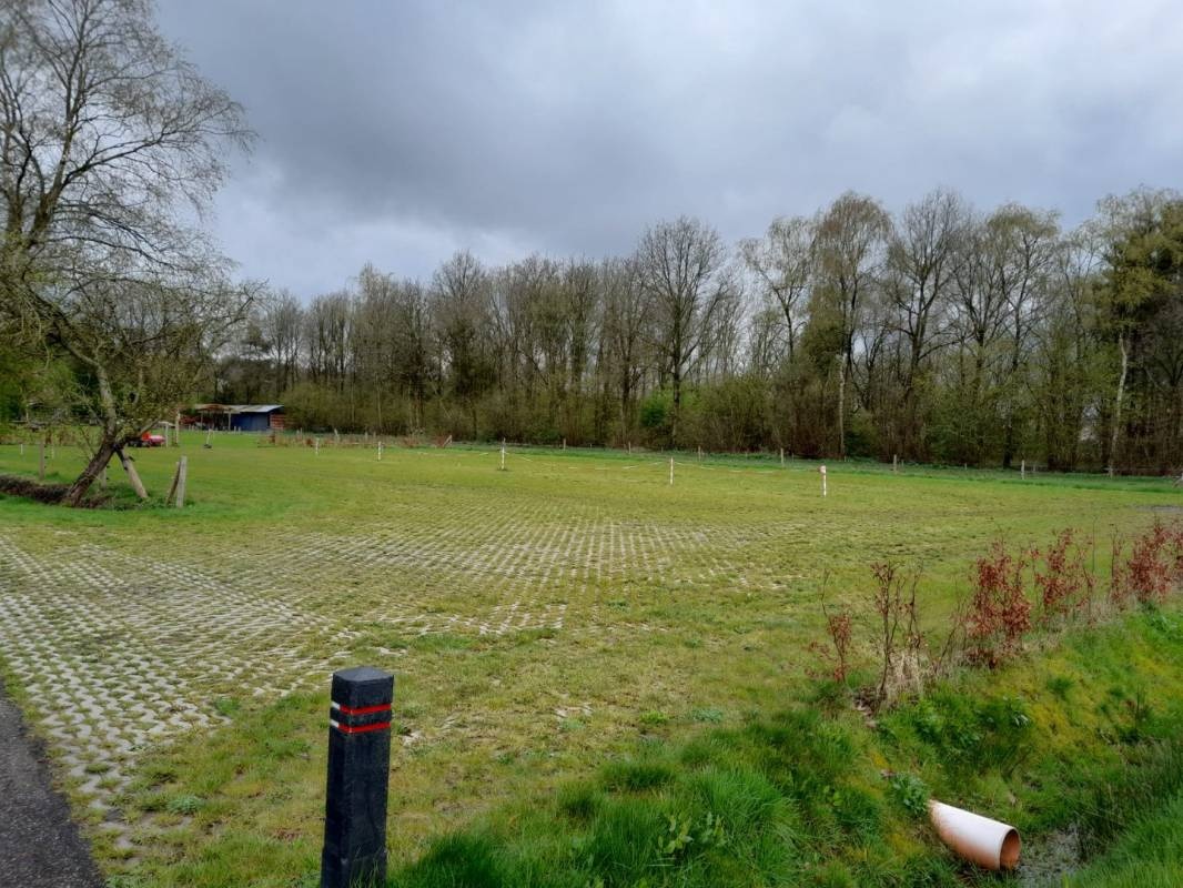 Camping Aan De Bosrand — Camping in Zevenhuizen