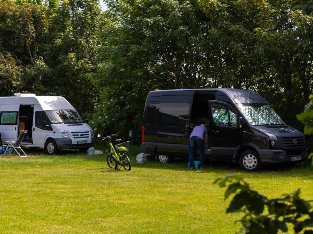 Keijsers Aardappeln & Asperges — Campingplass in Den Burg