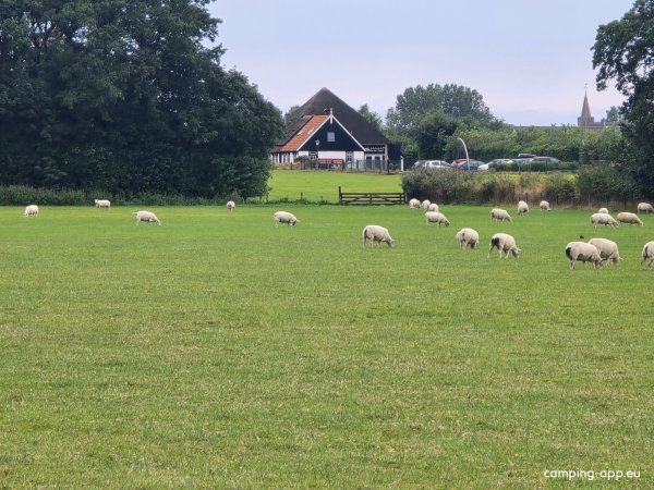 Boerderijcamping De Hal — Photo 6