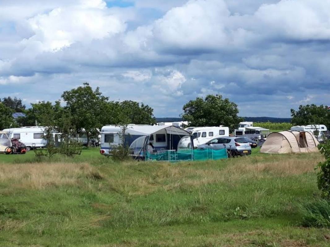 Camping Klein Amerika — Area da campeggio in Groesbeek
