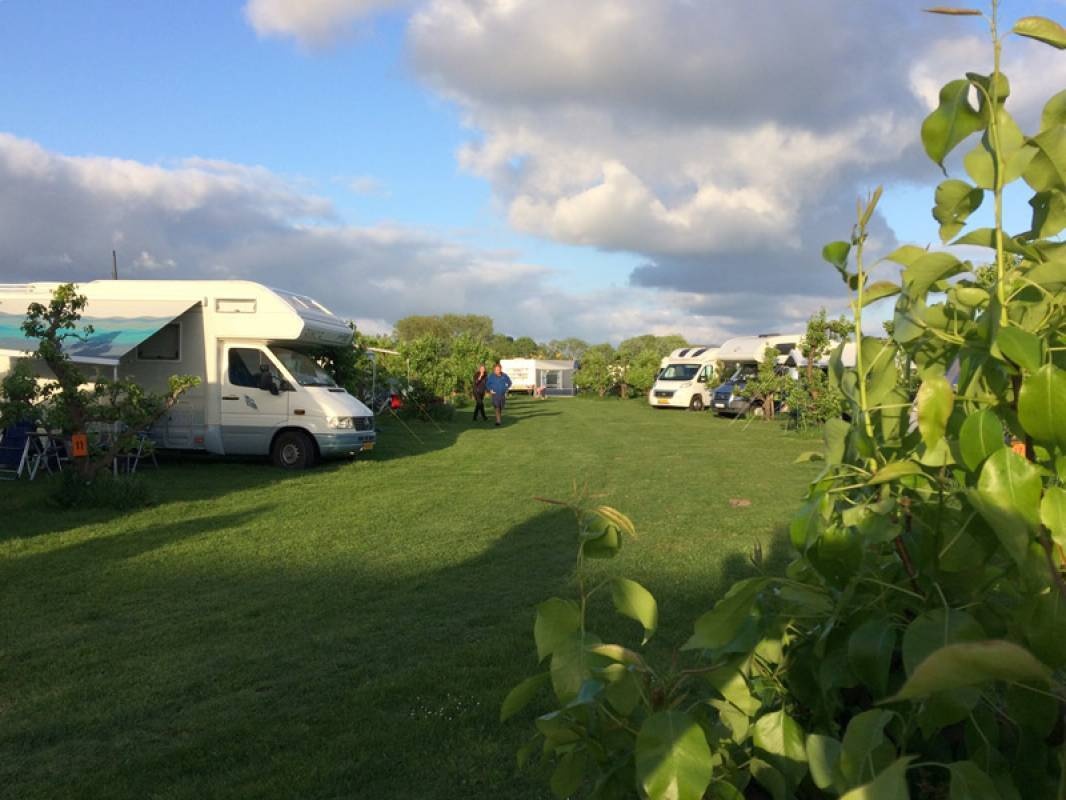 Minicamping De Kampeertuin — Campingplatz in Wijdenes