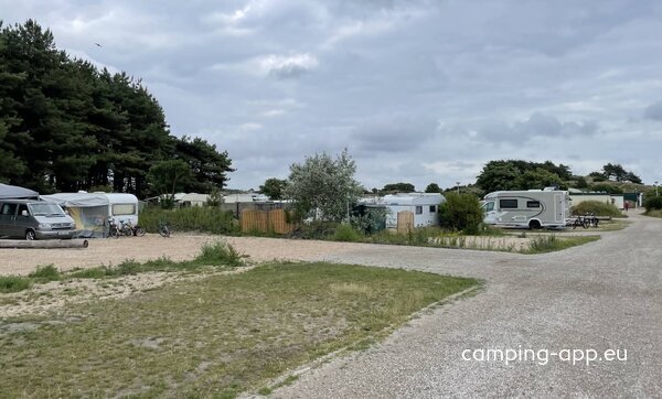 Camping Bloemendaal — Photo 2