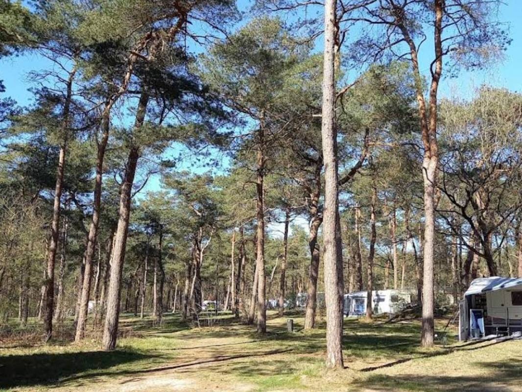 Bospark Langeloerduinen Nord — Місце для кемпінгу in Norg