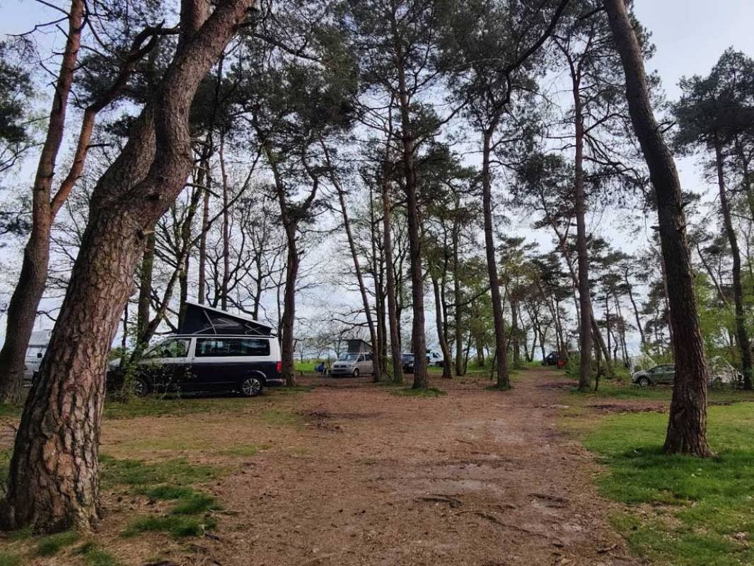 Quadenoord — Campingplatz in Renkum