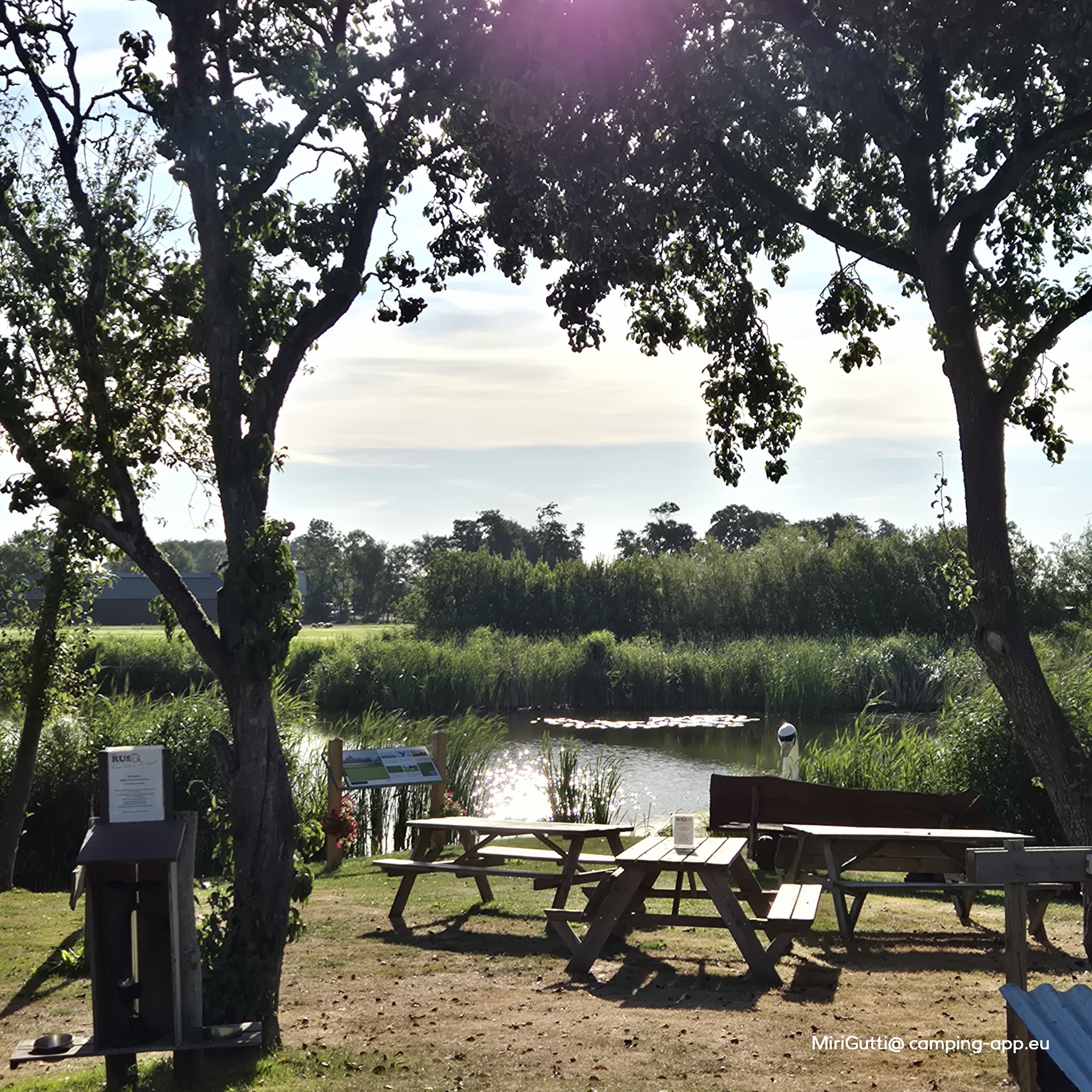 Camping De Noorde — Fotografie 4