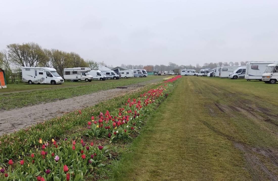 Buitenplaats De Strandwal — Camping in Noordwijkerhout