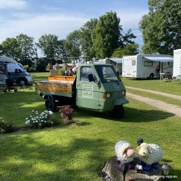 Campertuin CP Veluwe Noord — Photo 5