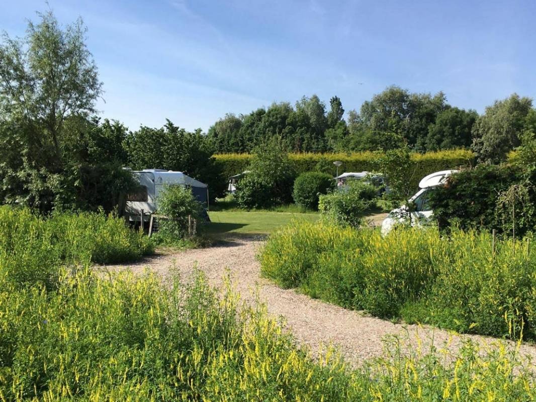 Camping Zonnehoeve — Campingplatz in Oudenhoorn