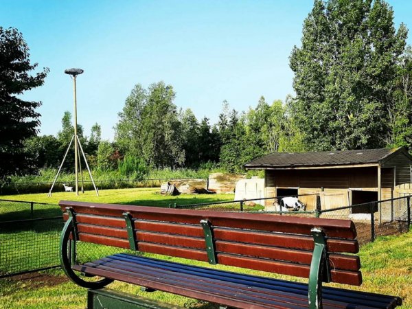 Boerderij 't Uiversnest — Photo 3